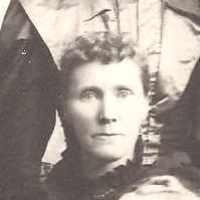 Alice Ann Gardner (1850 - 1926) Profile